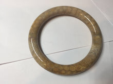 Load image into Gallery viewer, 56.8mm 100% natural beige yellow orange round cut Coral Jade (珊瑚玉) bangle XY109