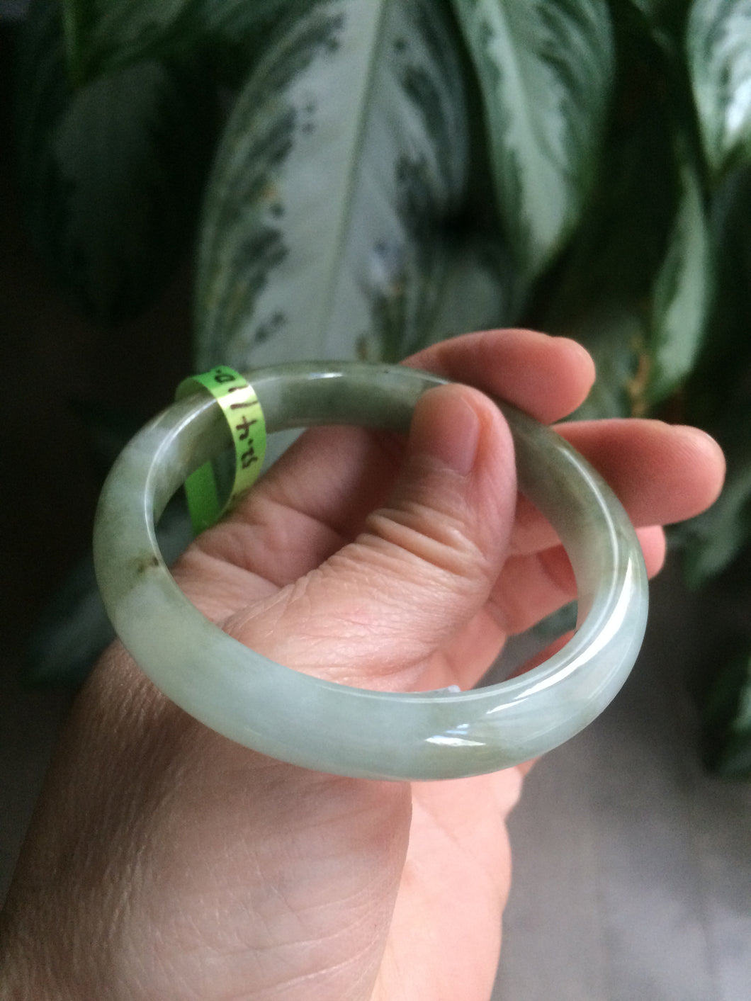 50.5mm Certified Type A 100% Natural dark green oval Jadeite Jade bangle AE29-3075