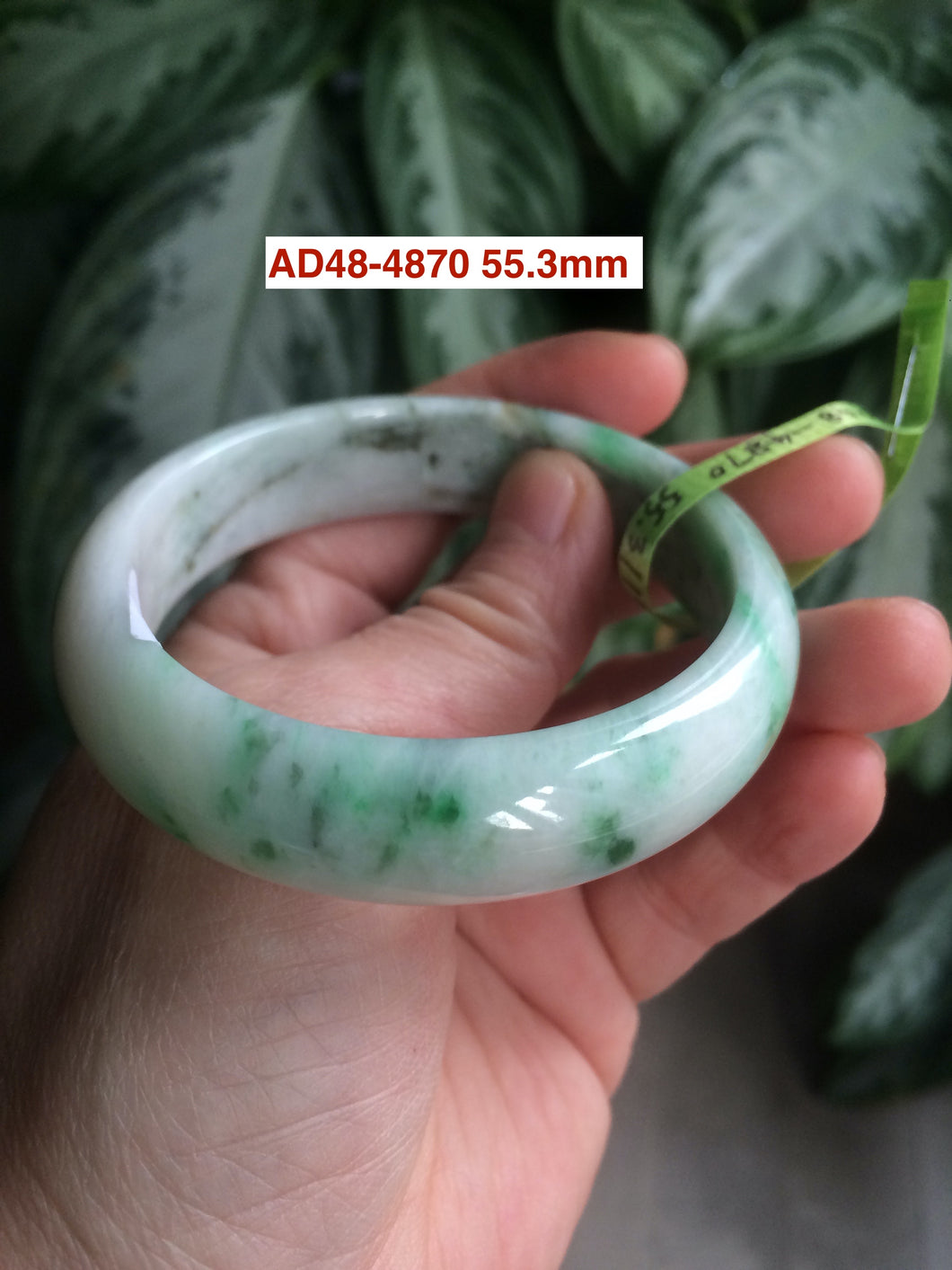 53-55mm certifaied Type A 100% Natural sunny green/white/black Jadeite Jade bangle (with defects) Group AD48