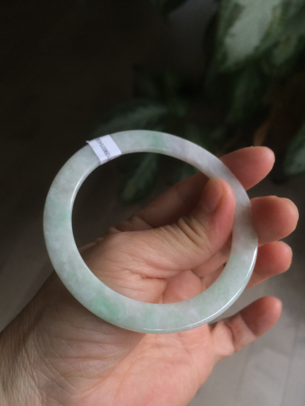 55mm Certified Type A 100% Natural sunny green/white thin style Jadeite bangle AB47-1450