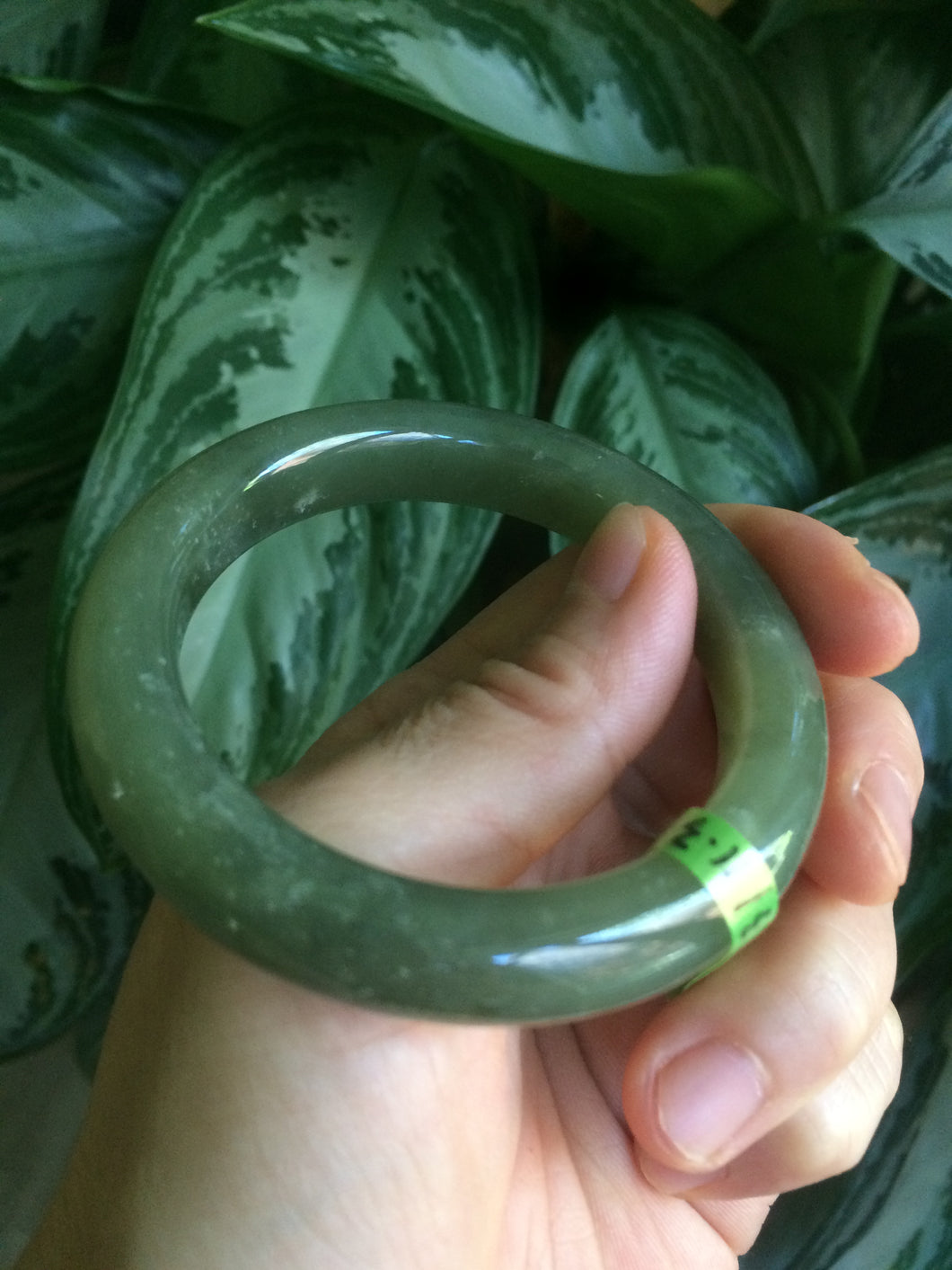 51.3mm Certified 100% Natural oily dark green nephrite Hetian Jade bangle N80-6570