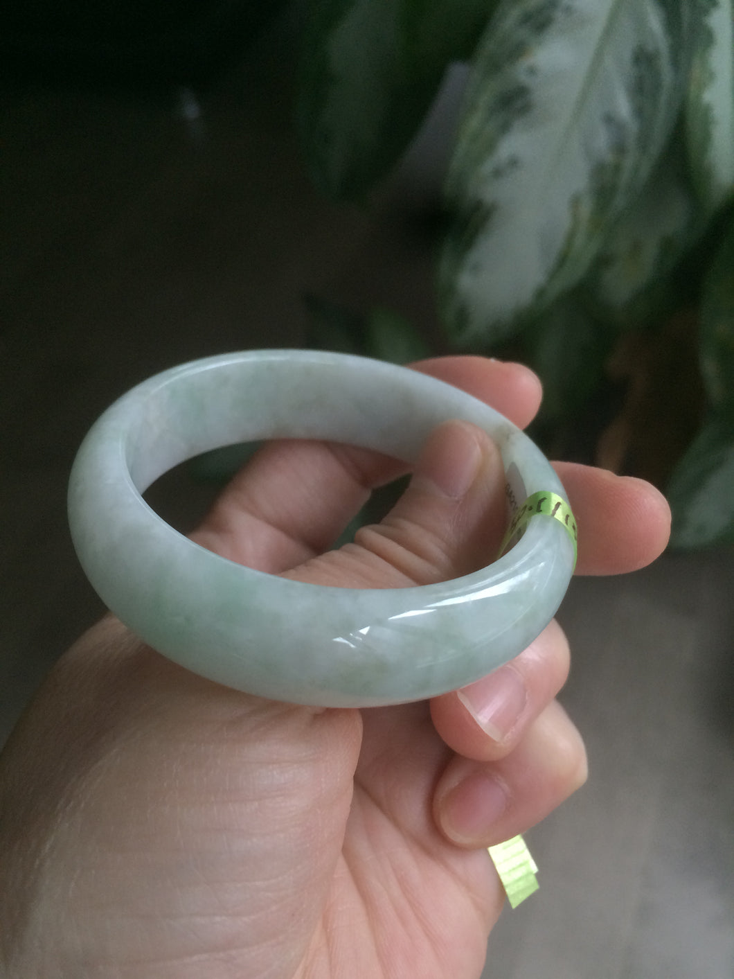 50.5mm Certified Type A 100% Natural light green Jadeite Jade bangle AB46-0784