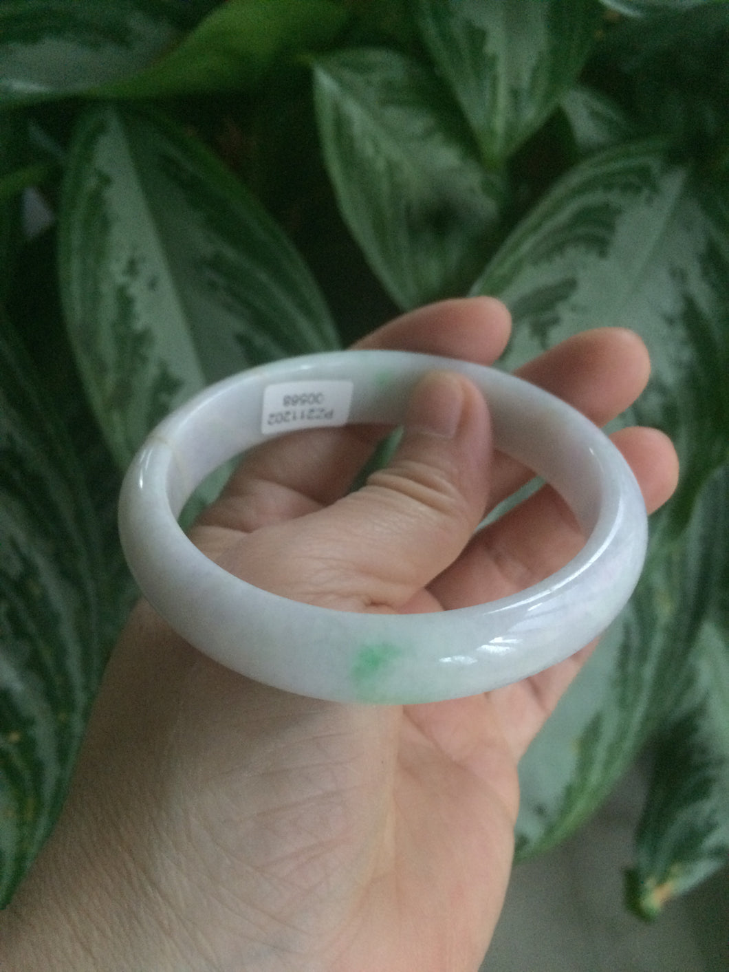 57.4 mm certified Type A 100% Natural sunny green/purple/white Jadeite Jade bangle KS83-0568 (Clearance)
