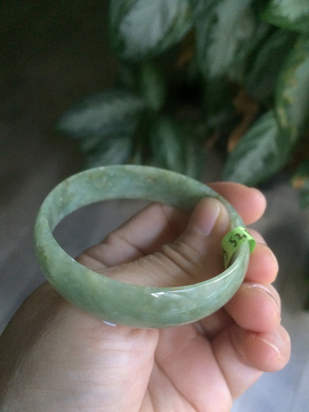 52.5mm certified Type A 100% Natural green/brown thin Jadeite Jade bangle Q64-3805