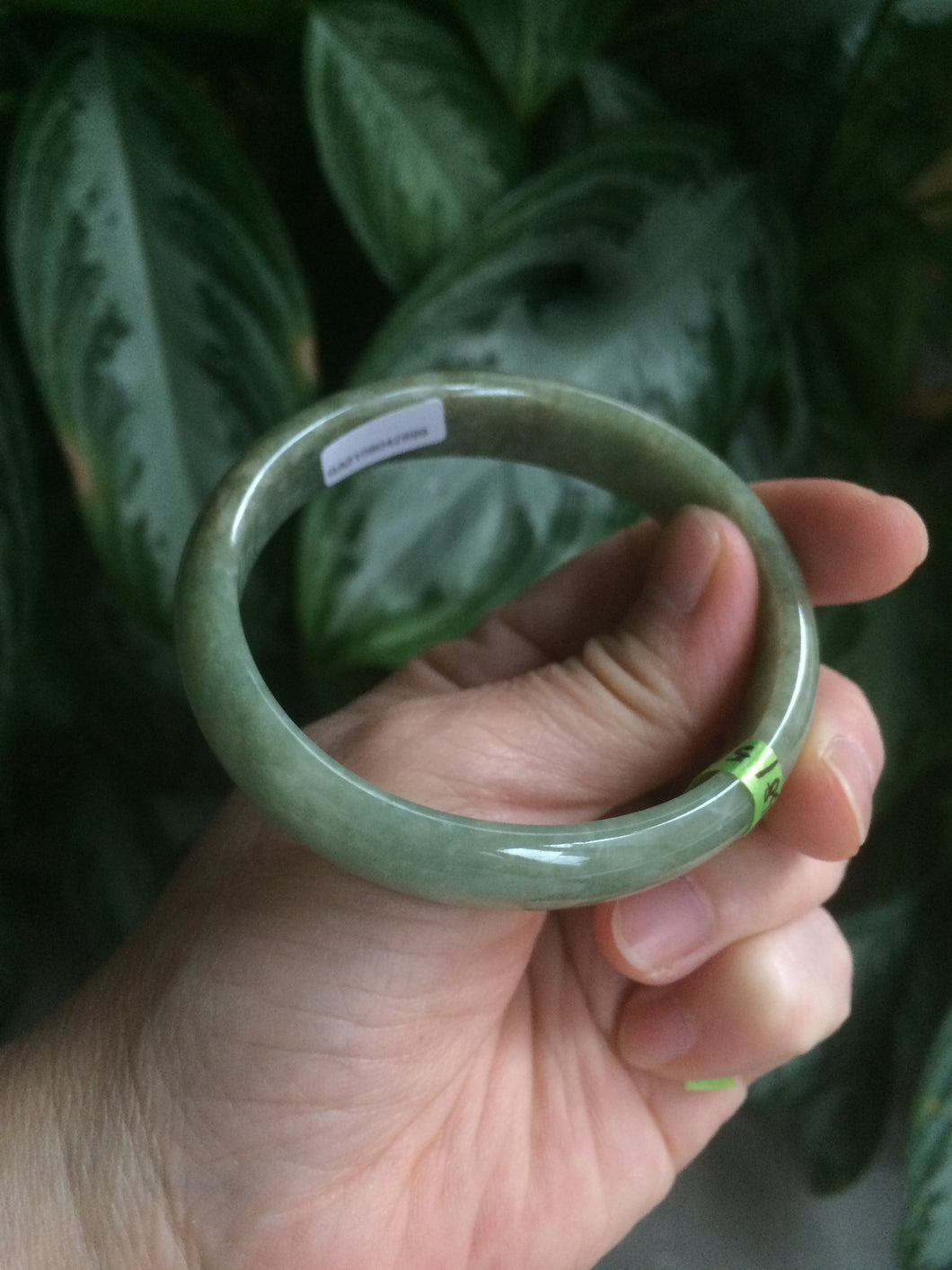 54.5mm Certified Type A 100% Natural green oval Jadeite Jade bangle L105-2899