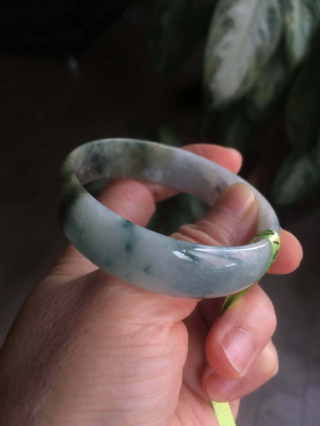 52.4mm certified Type A 100% Natural light green/white thin Jadeite Jade bangle Y101-7332