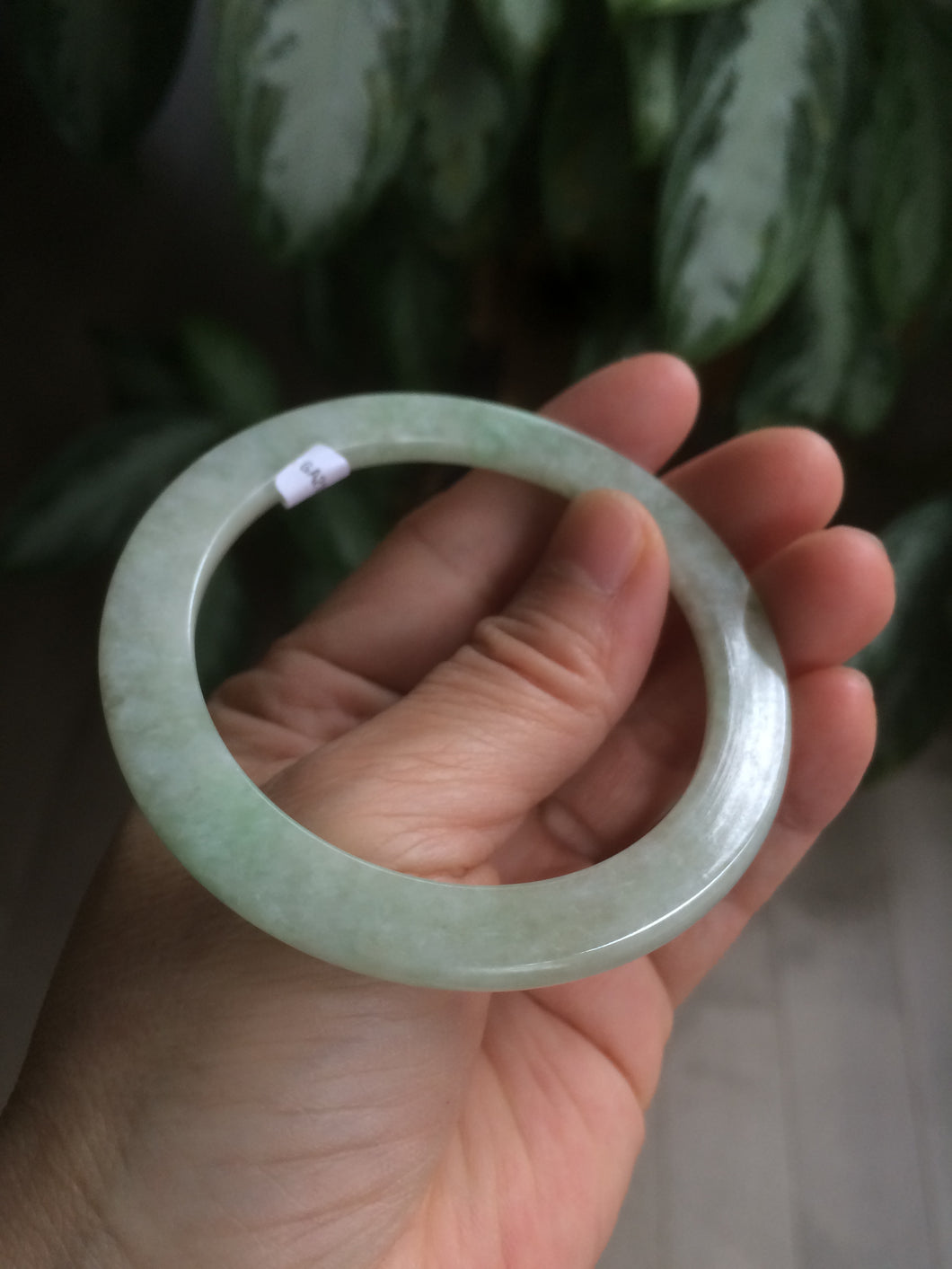 53mm Certified Type A 100% Natural green thin Jadeite Jade bangle AB49-1453