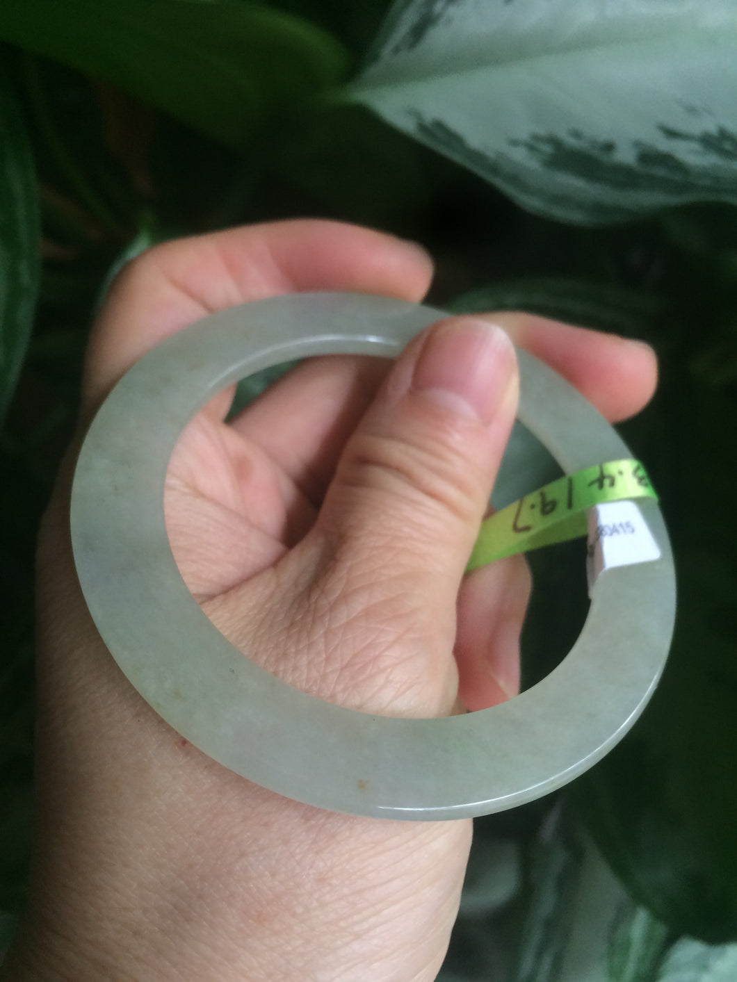 52.5mm certified Type A 100% Natural icy green super thin Jadeite bangle N62-0415