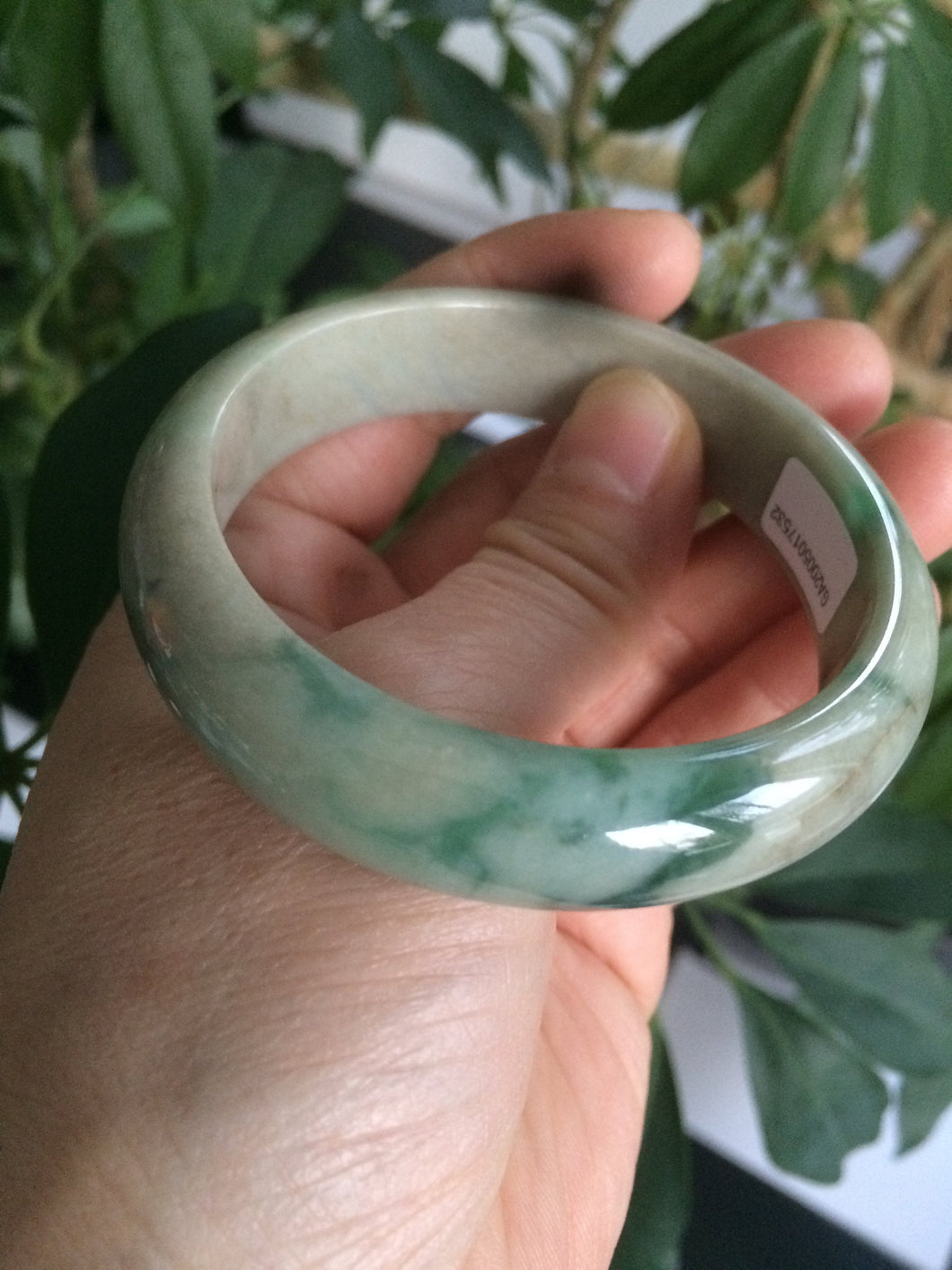 54.7mm Certified Type A 100% Natural green/yellow Jadeite Jade bangle KS24-7532