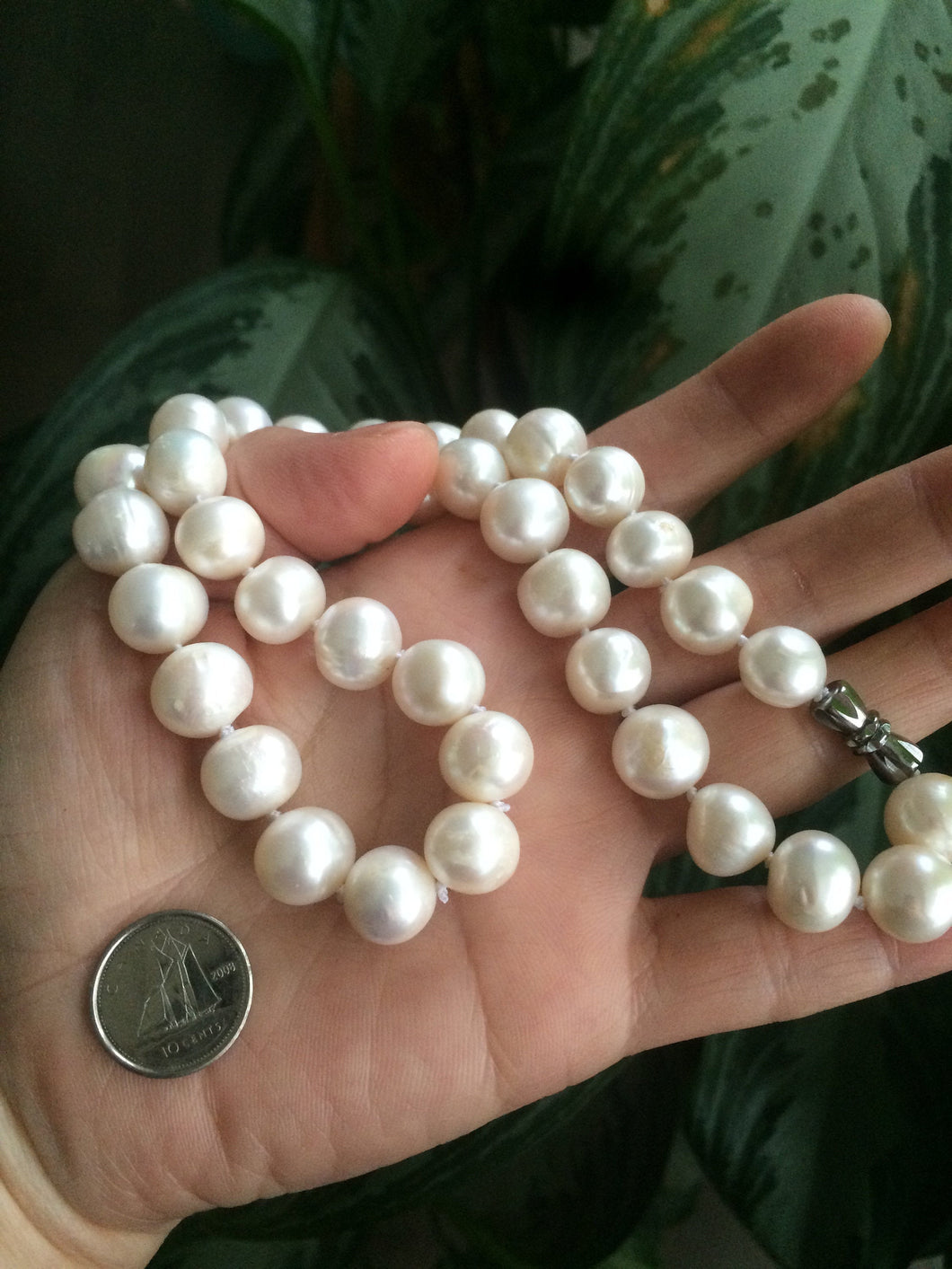Genuine cultured 10.7-11.6mm freshwater high luster reflective white pearl necklace RP-8